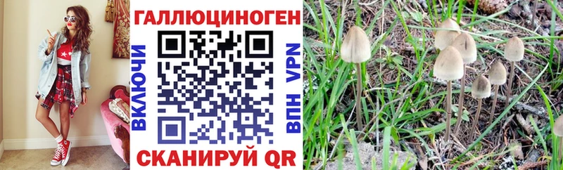 как найти наркотики darknet Telegram Псилоцибиновые грибы Cubensis Топки