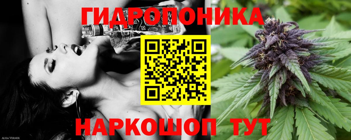 Канабис Bruce Banner  МАРИХУАНА Ganja  Канабис SATIVA & INDICA  Топки  Вход с VPN 
